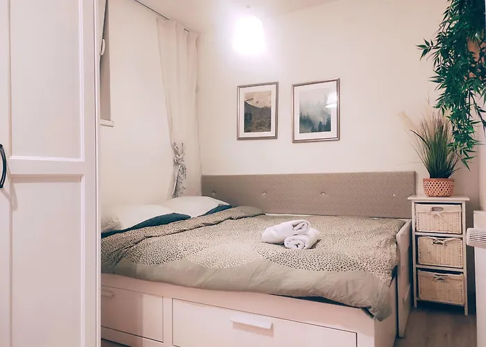 Good Vibes In Center Bratislava